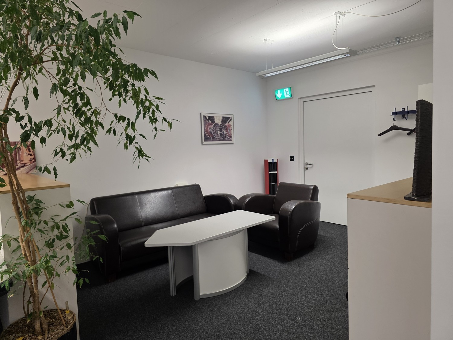 146m² commerciale
