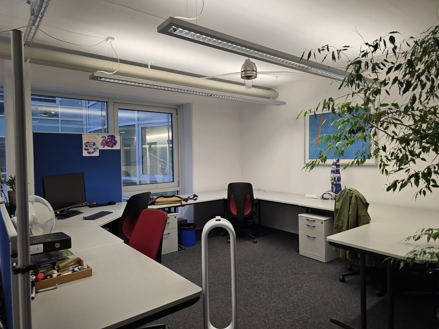 146m² commerciale