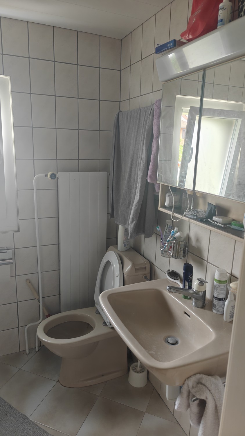 3 ½ Zimmer Wohnung