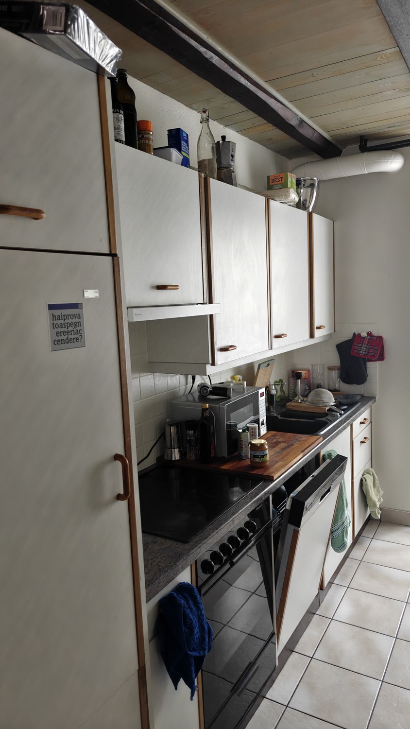3 ½ Zimmer Wohnung