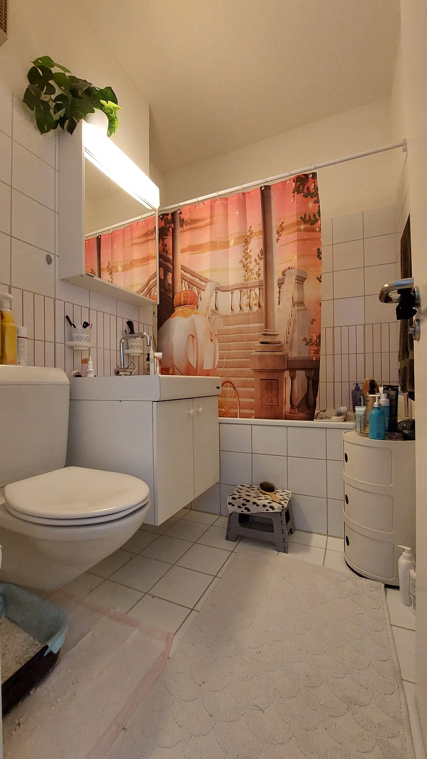 Appartement de 2 ½ pièces