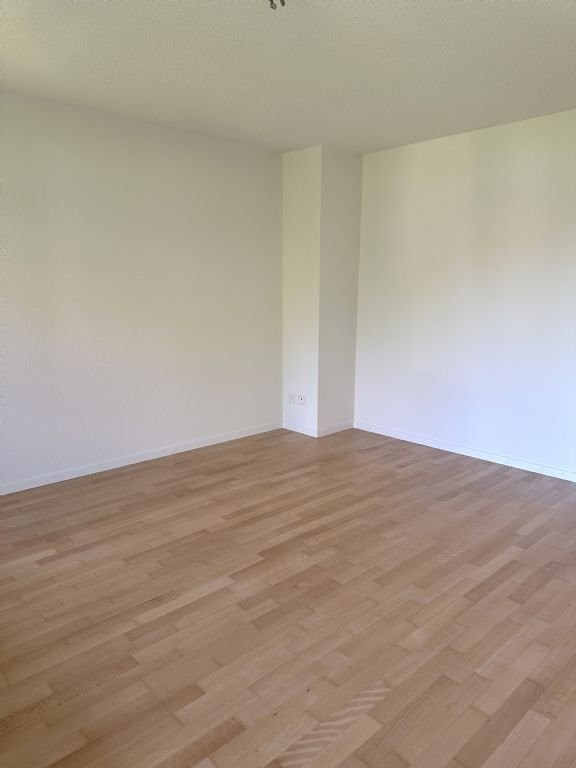 Appartamento di 4 ½ locali