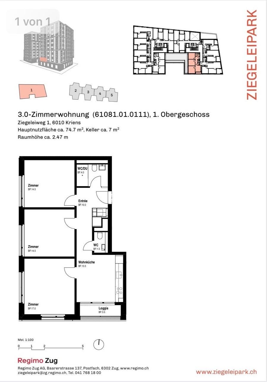 Room in a shared flat