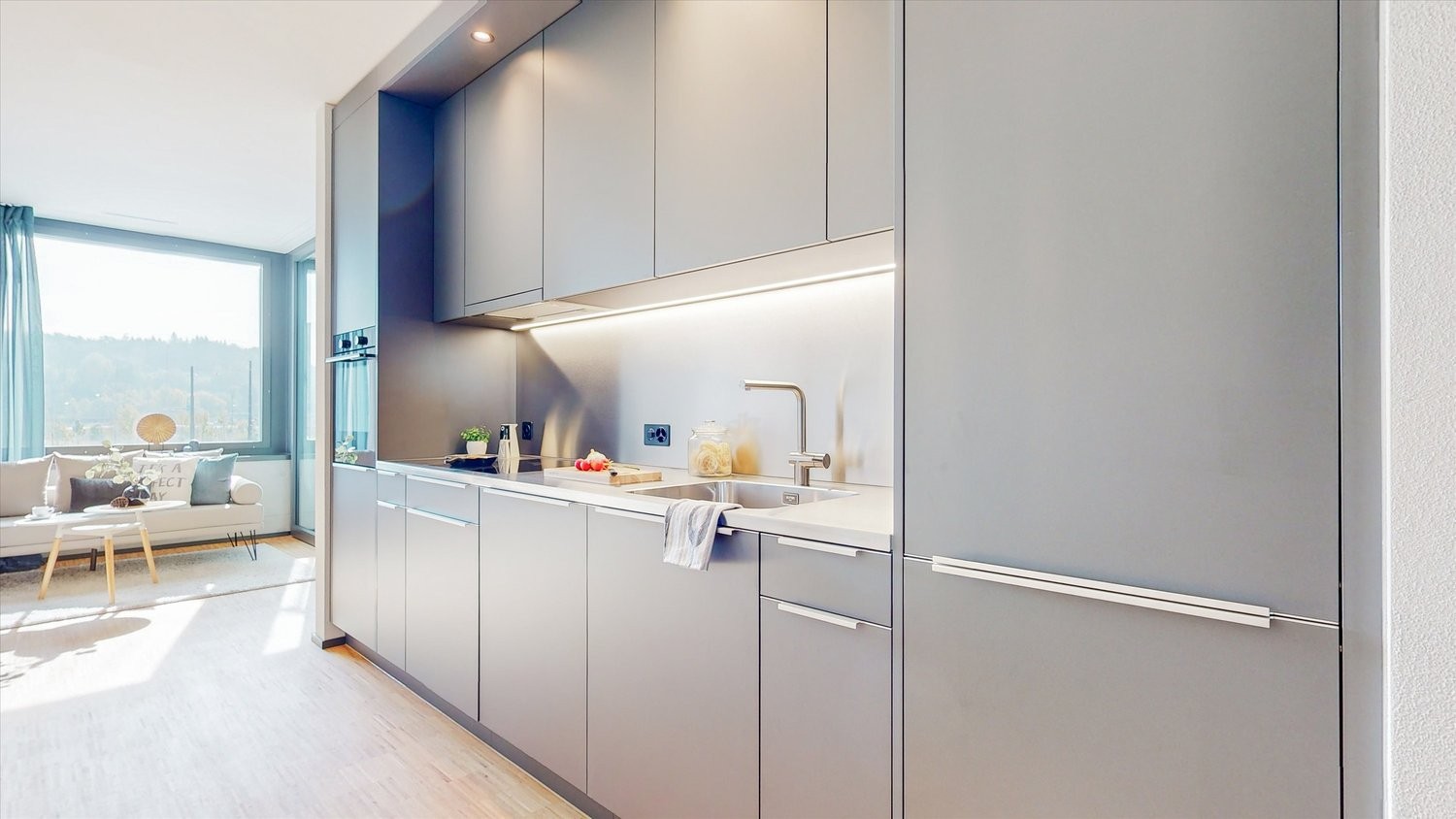 2 ½ rooms apartment