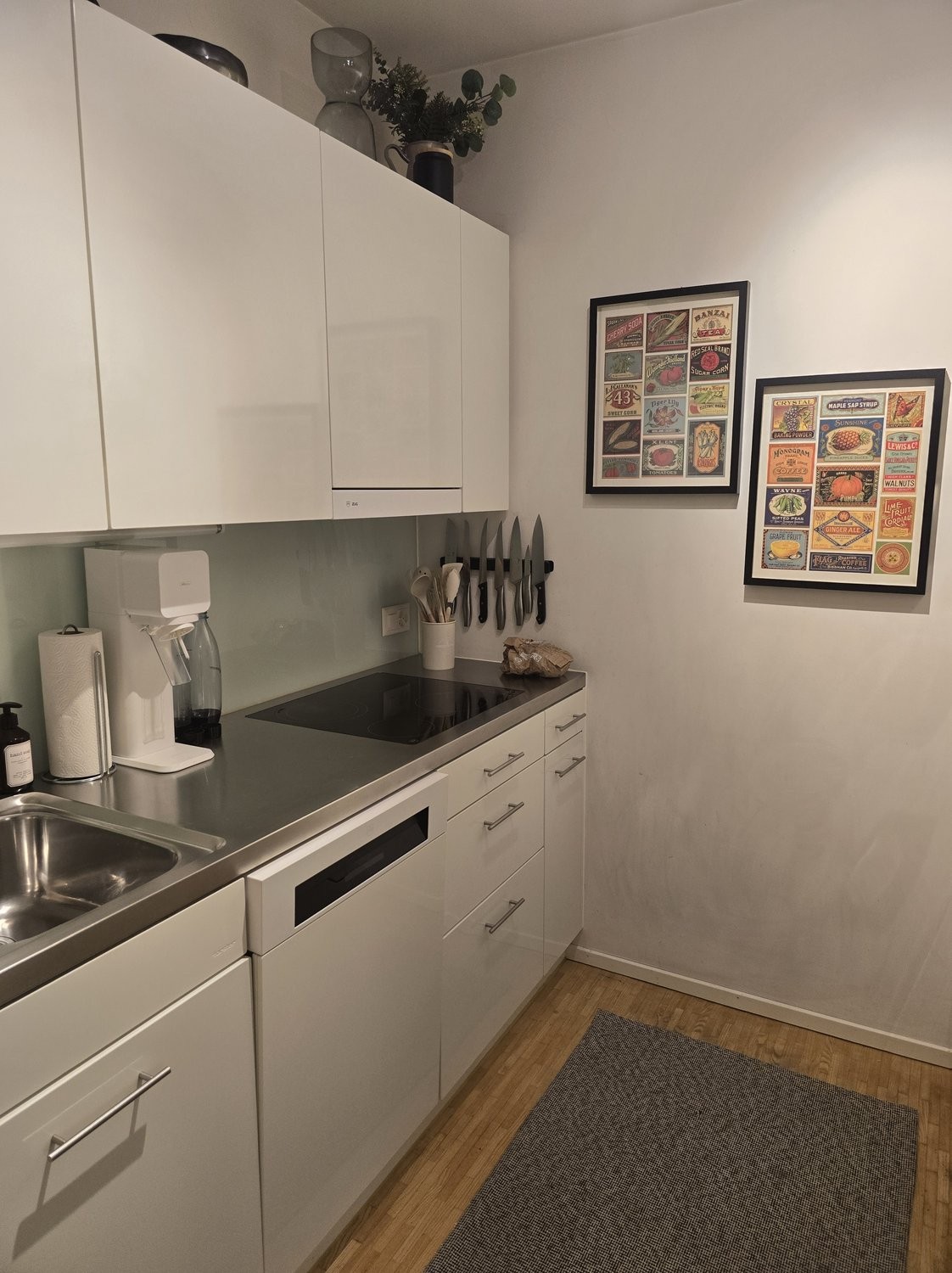appartamento arredato di 2 ½ locali