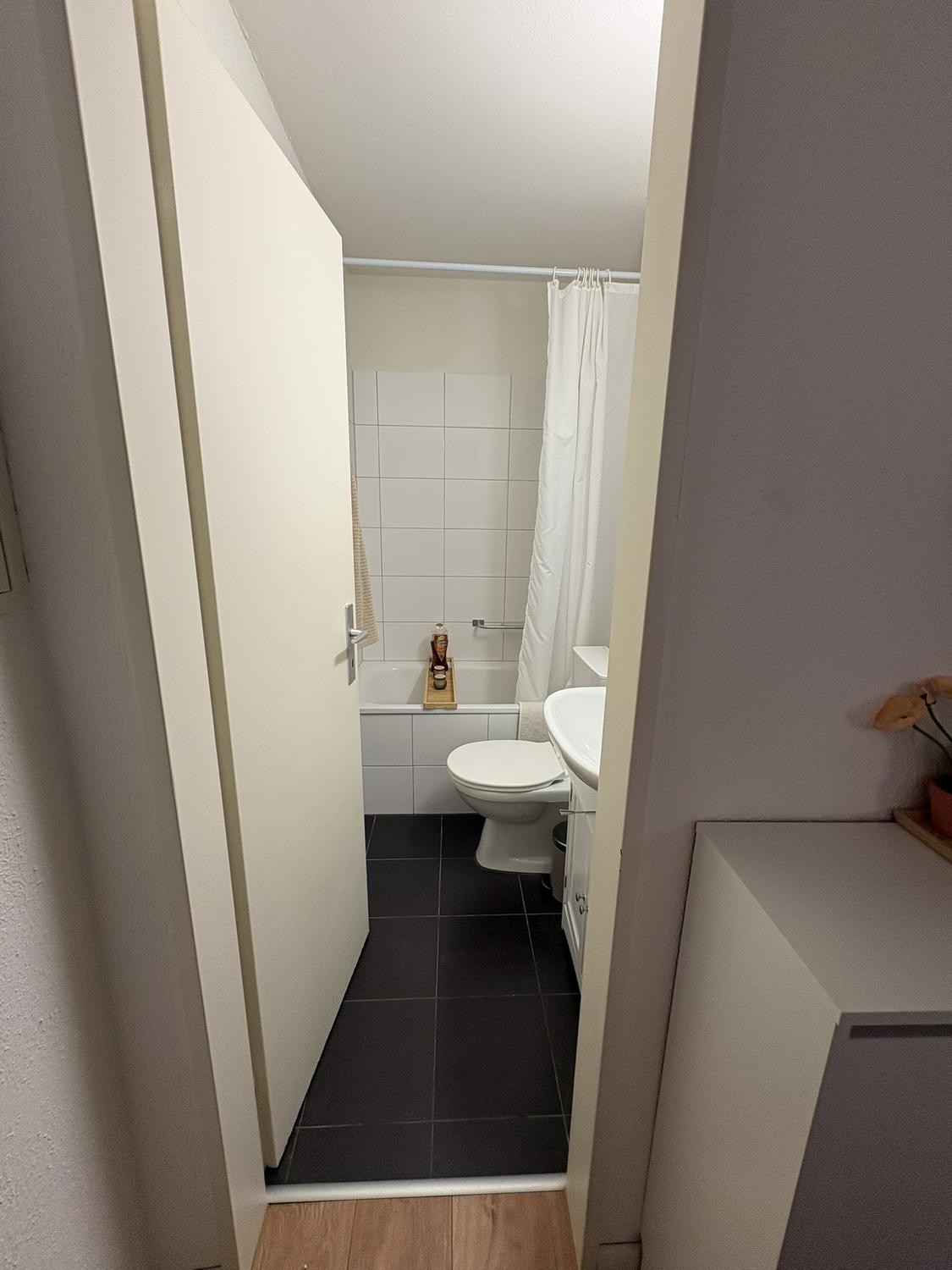 Appartement de 1 ½ pièces