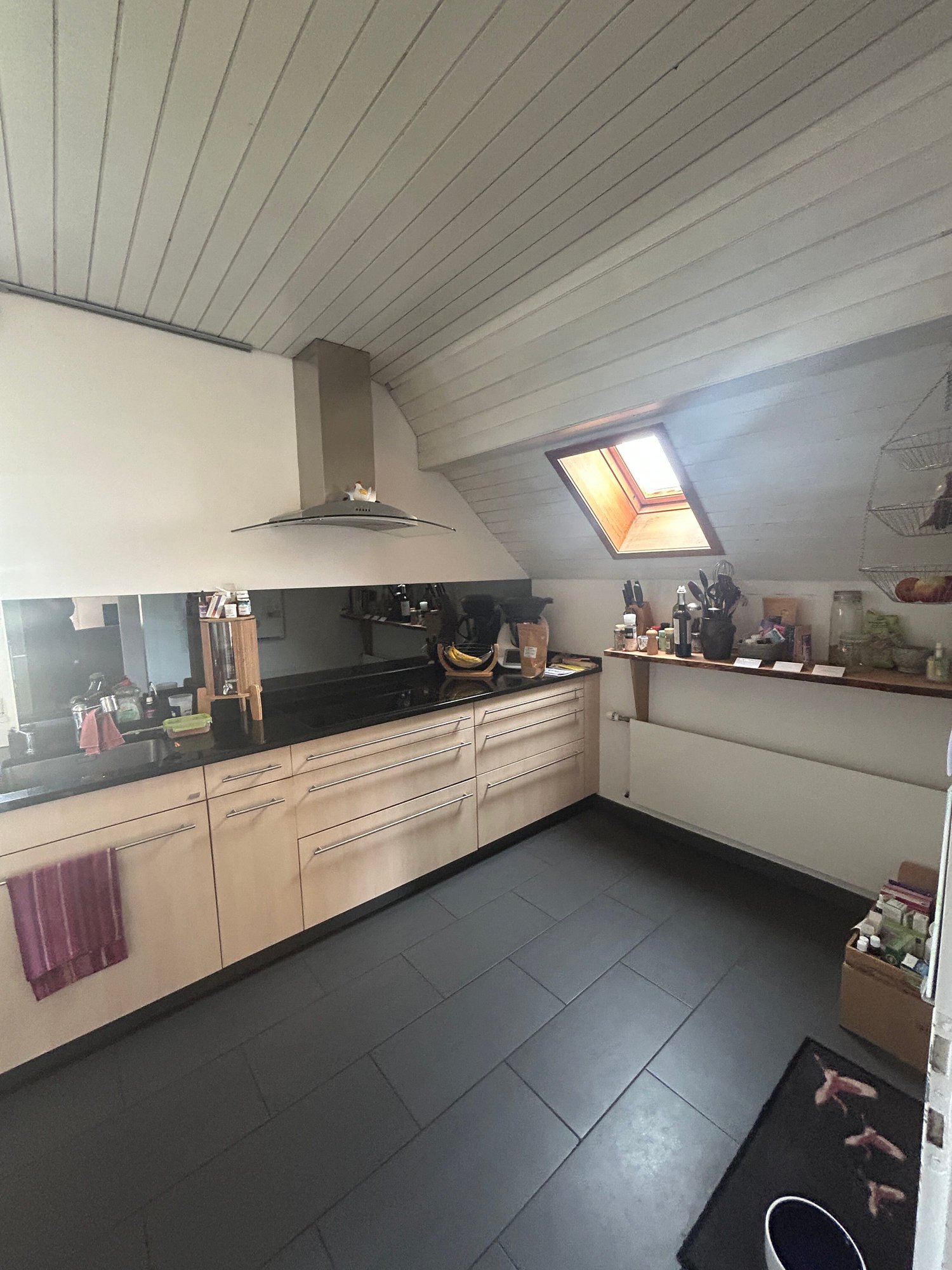 4 ½ rooms duplex