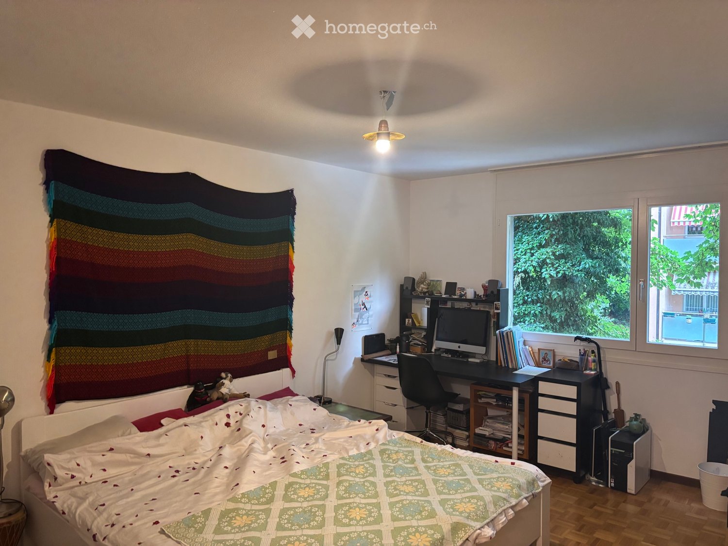 1 Zimmer Einzelzimmer