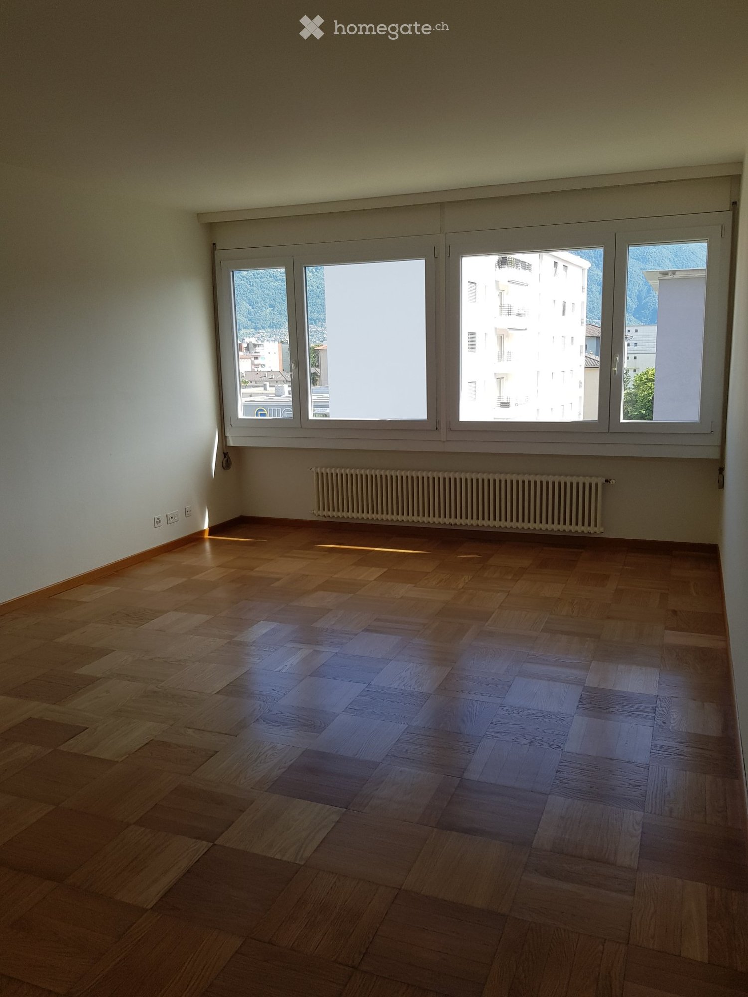 3 ½ Zimmer-Wohnung