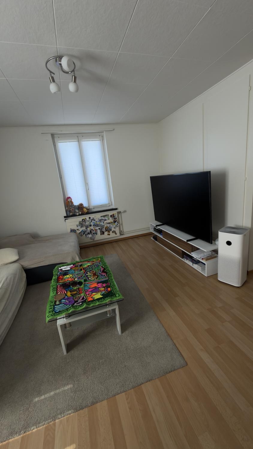 Appartamento di 3 ½ locali