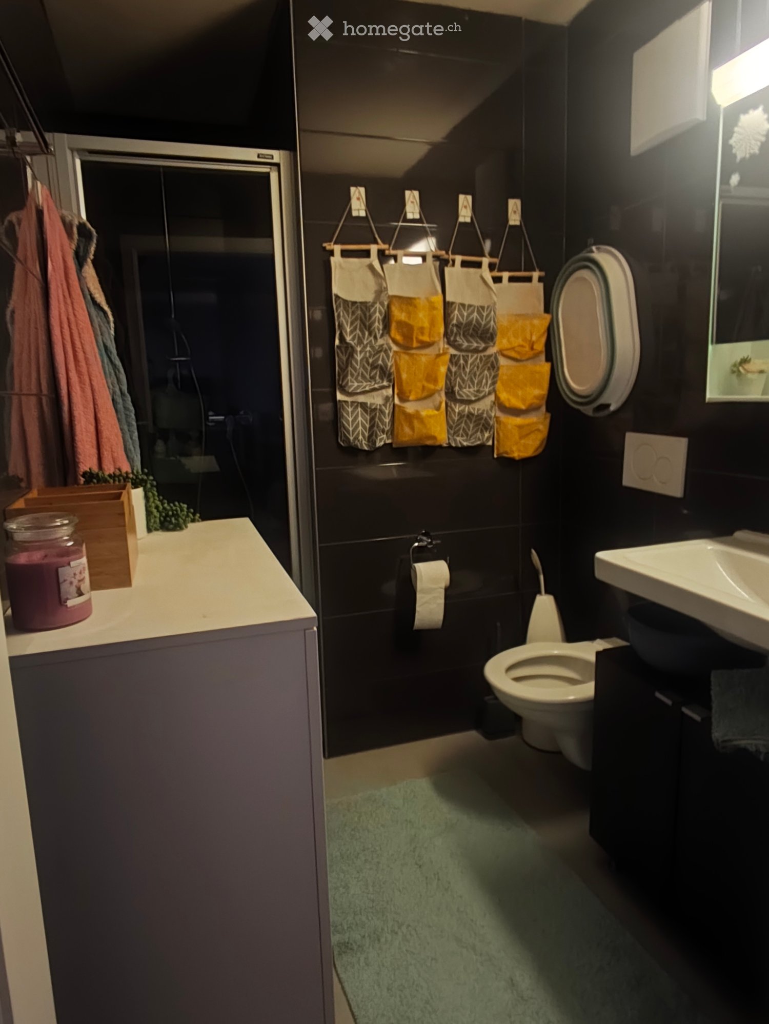 2 ½ Zimmer Wohnung
