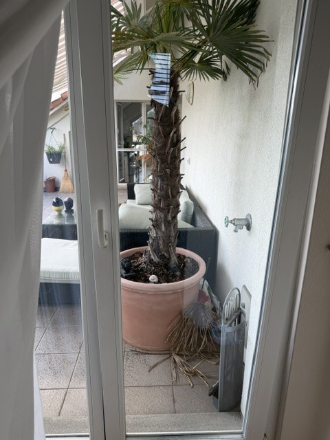 Chambre dans une colocation