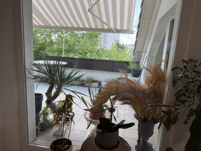 Chambre dans une colocation