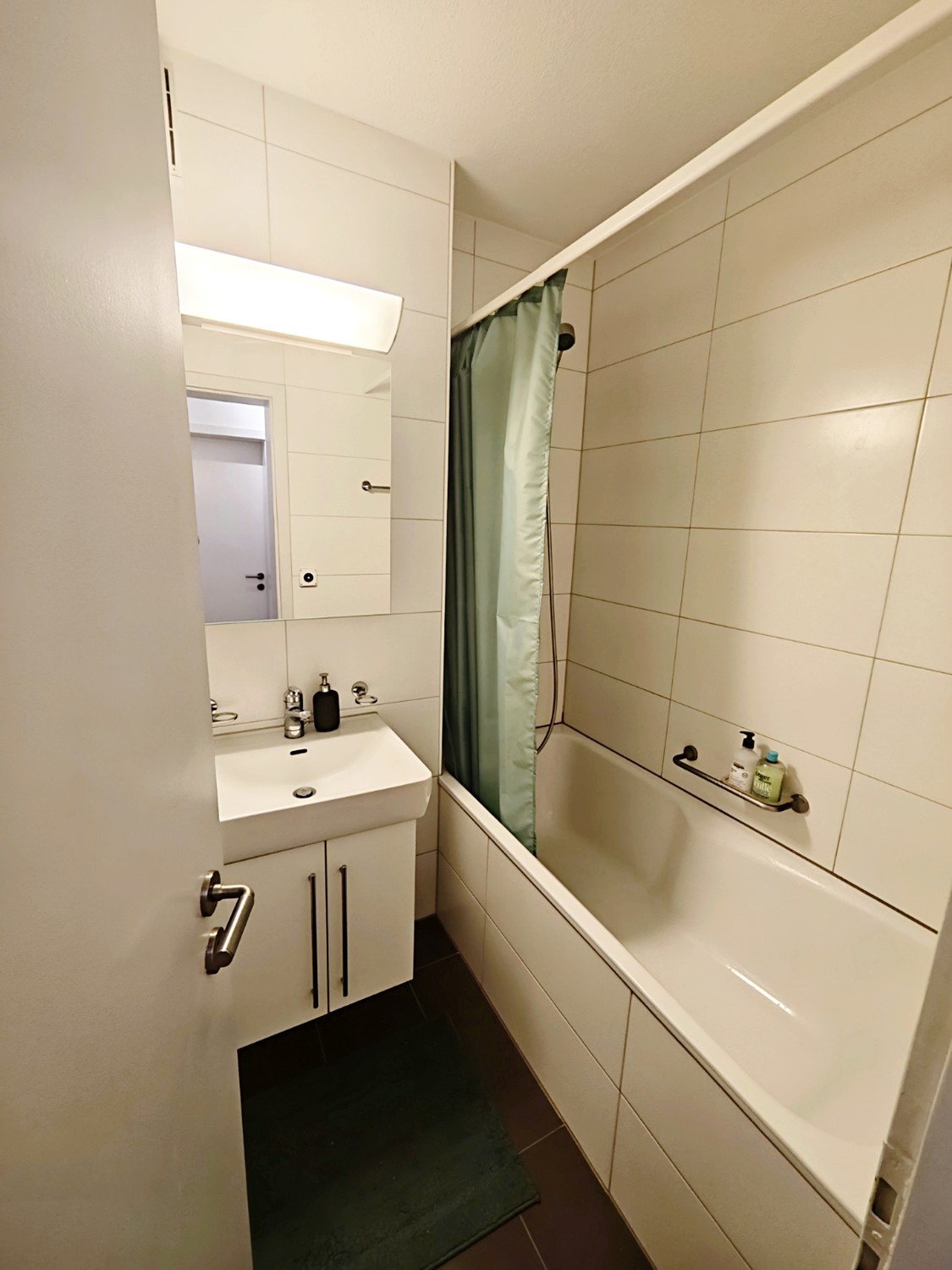3 ½ Zimmer Wohnung