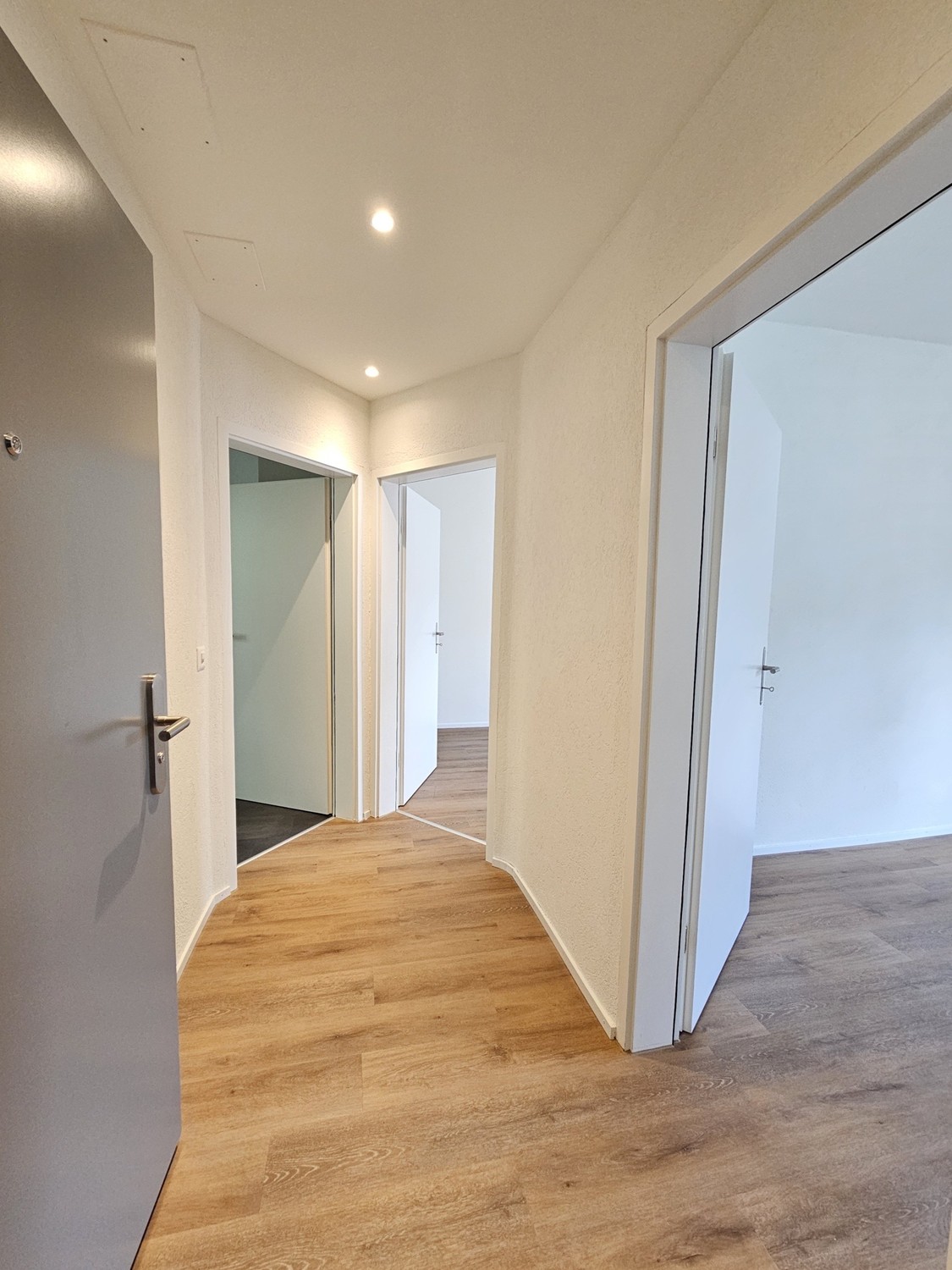 2 ½ Zimmer-Wohnung