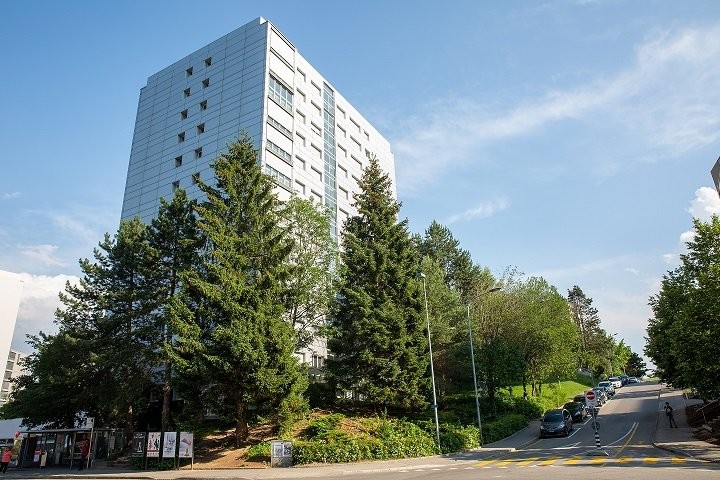 2 ½ Zimmer-Wohnung