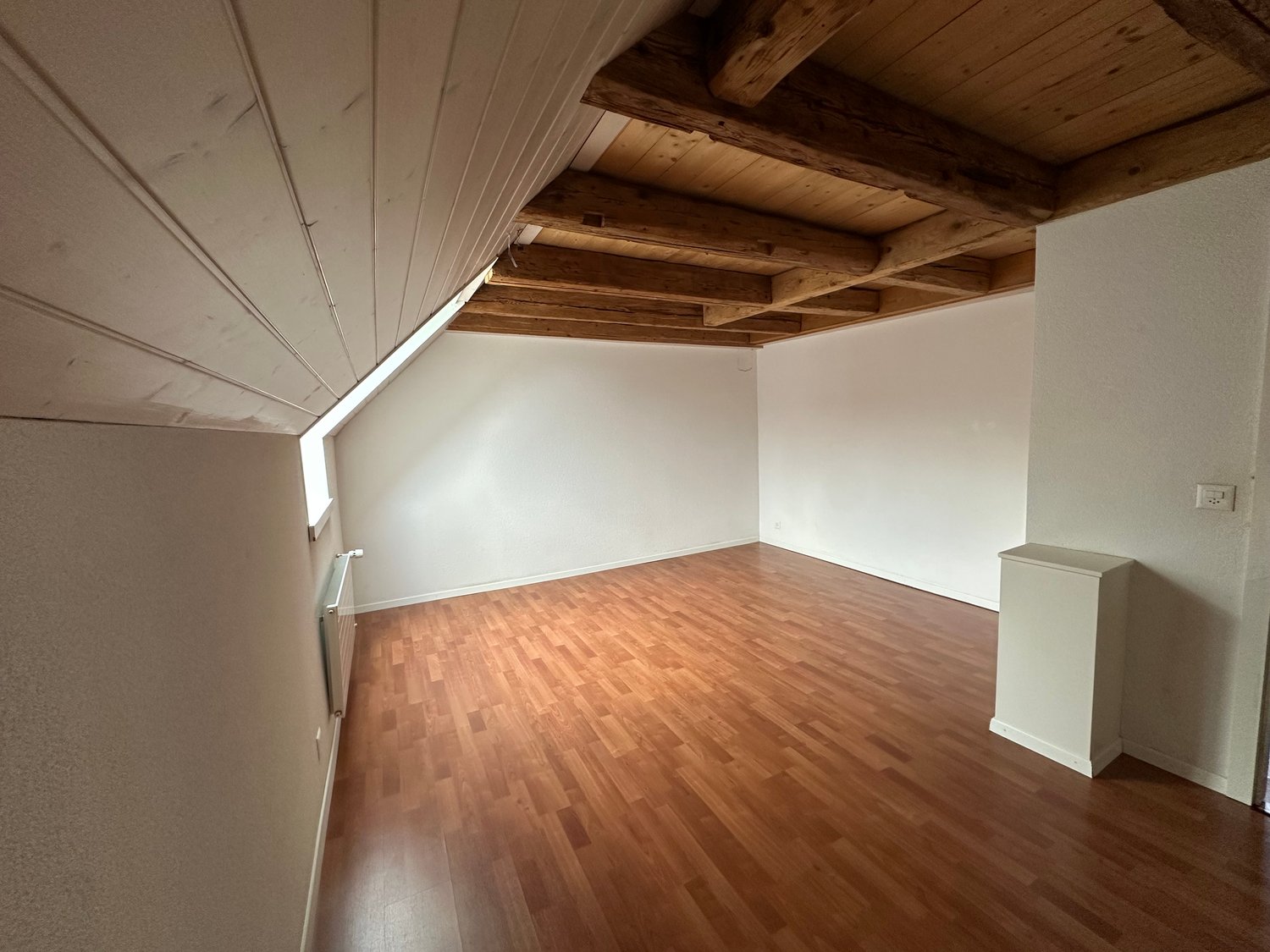2 ½ Zimmer Wohnung