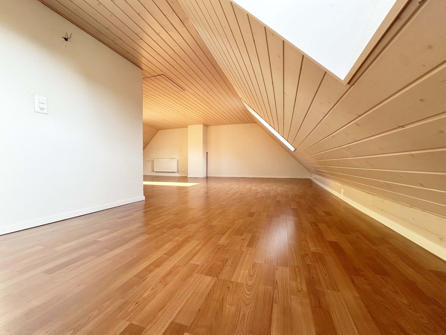 2 ½ Zimmer Wohnung