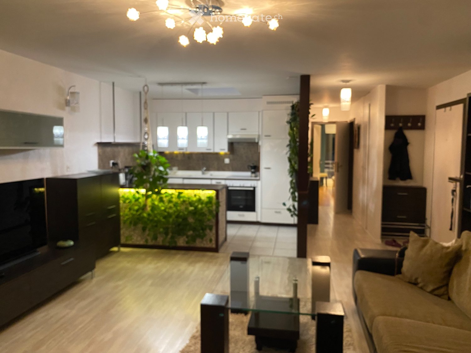 3-Zimmer-Wohnung