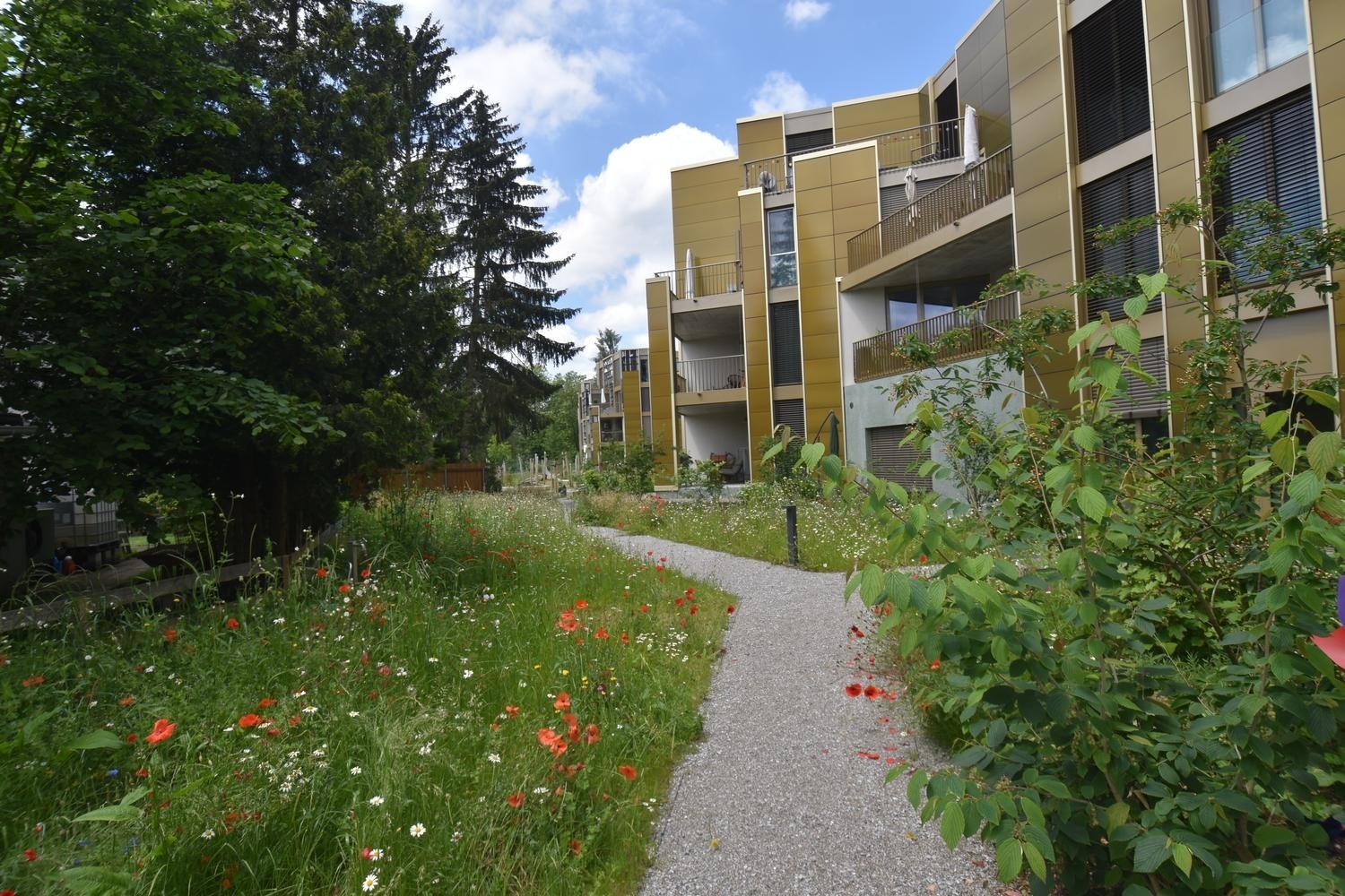 Appartamento di 3 ½ locali