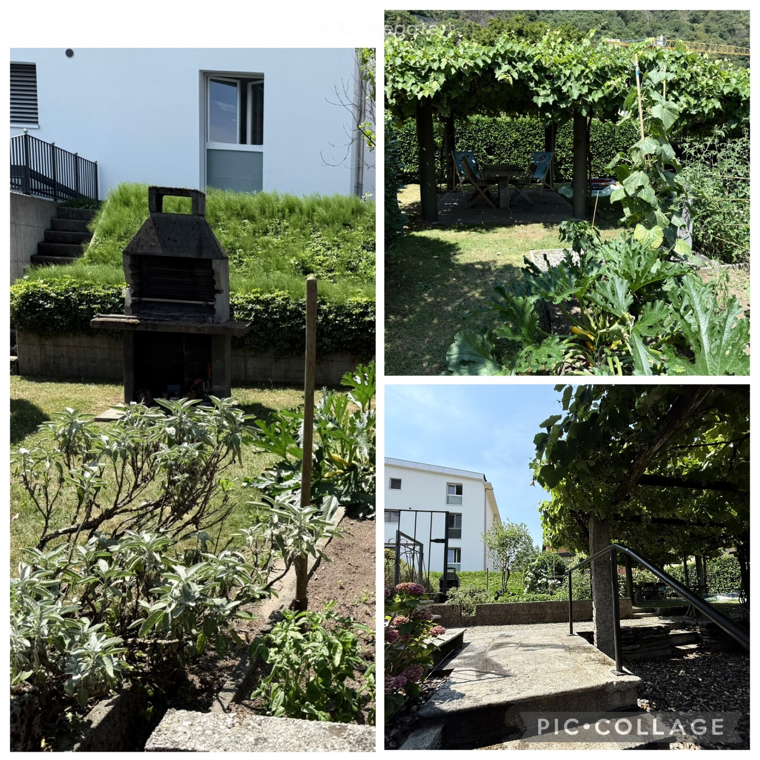 3 Zimmer Wohnung
