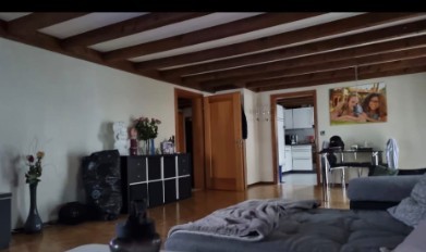 Appartamento di 4 ½ locali