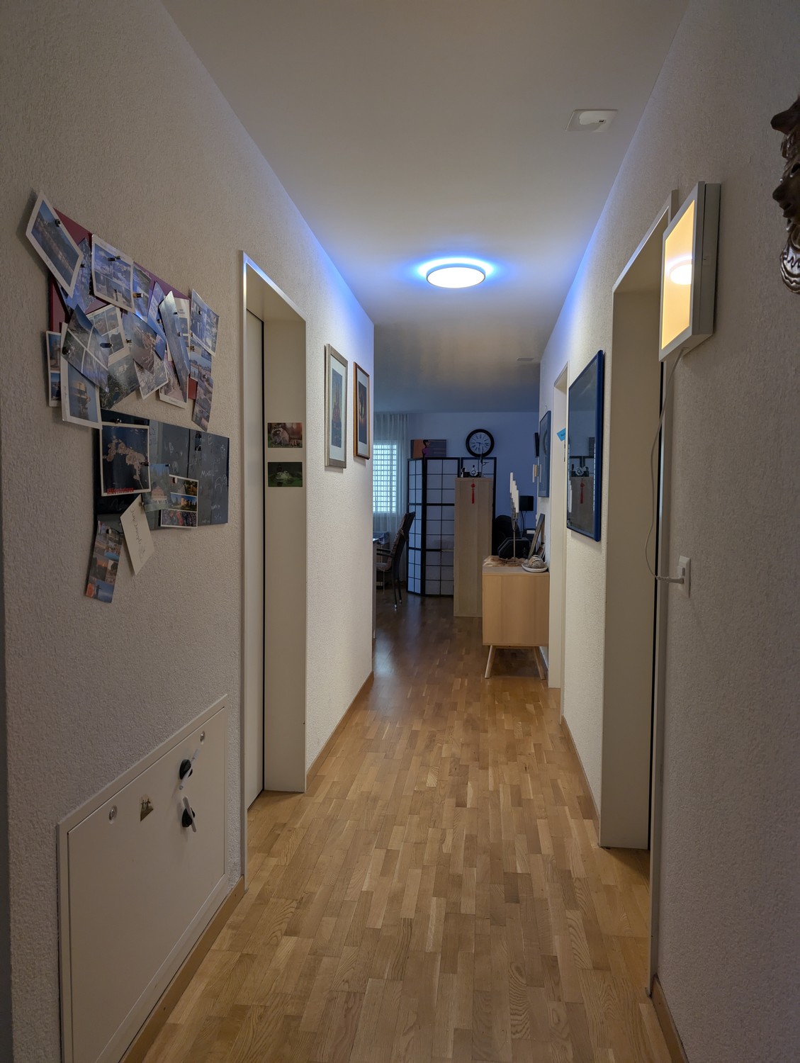 Room in a shared flat