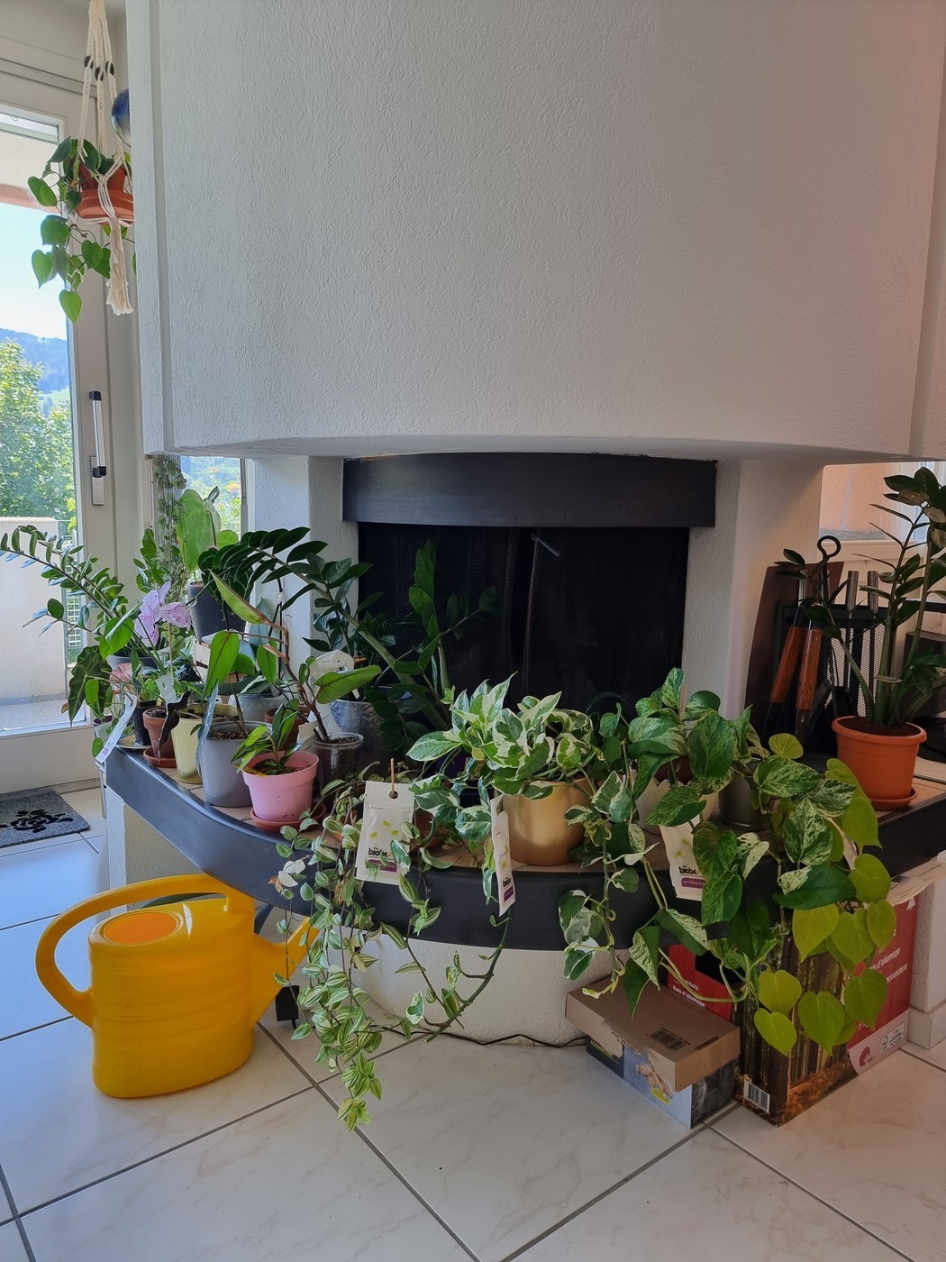 Room in a shared flat