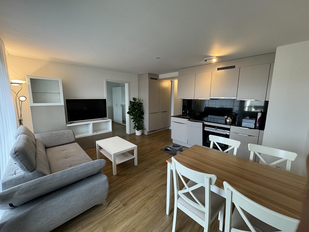 Appartamento di 2 ½ locali