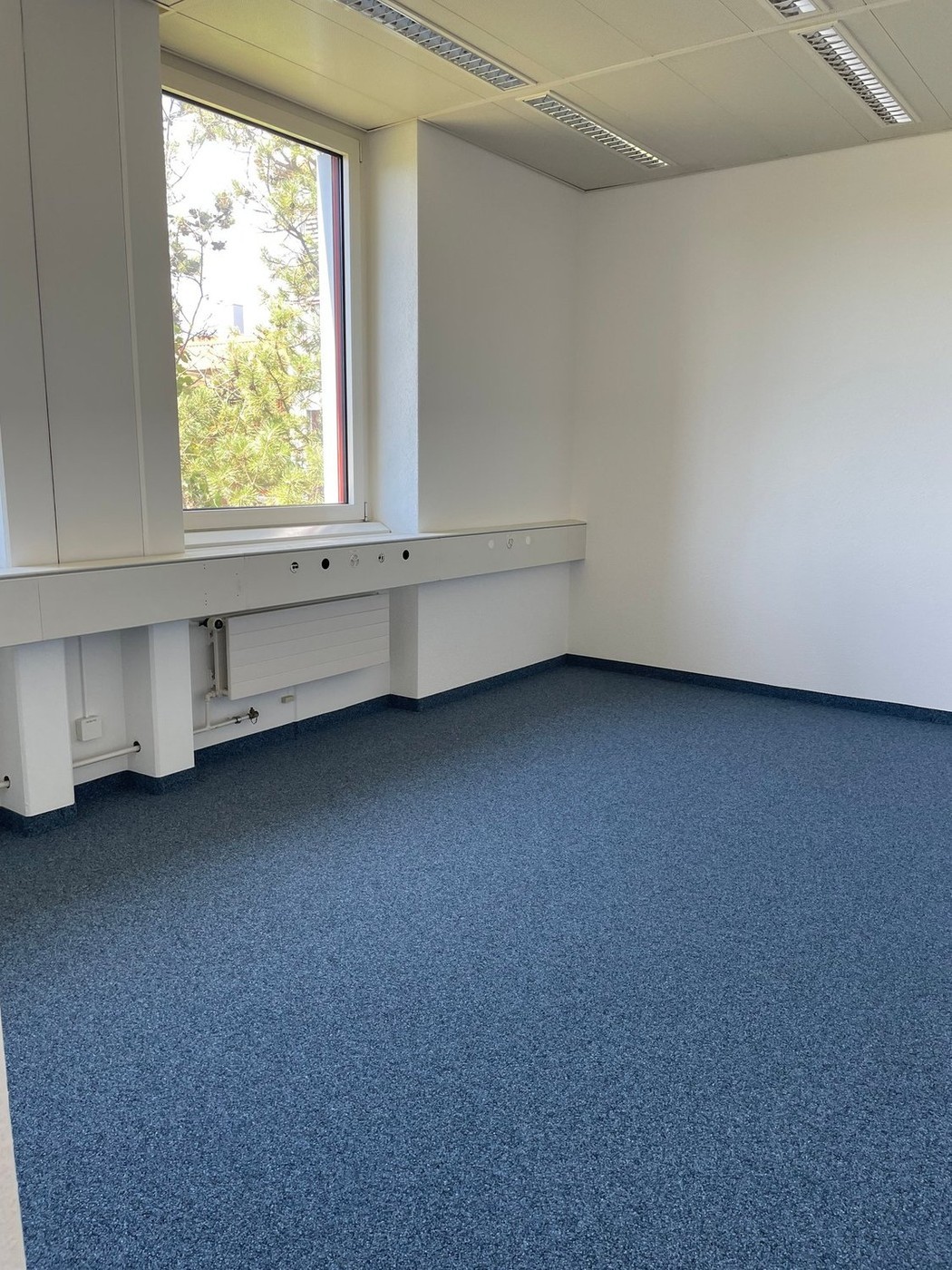 22m² office