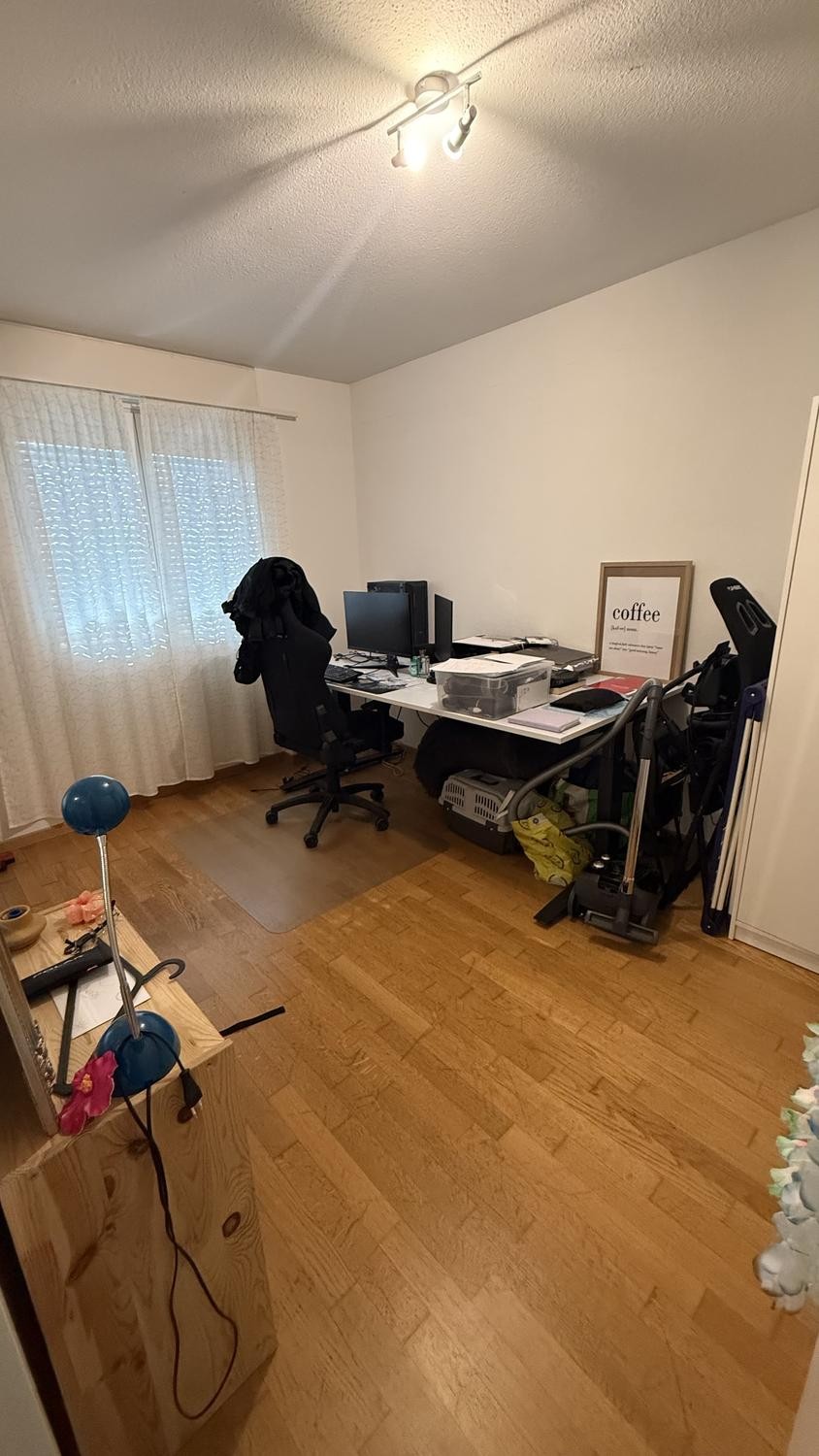 appartamento di 3 ½ locali