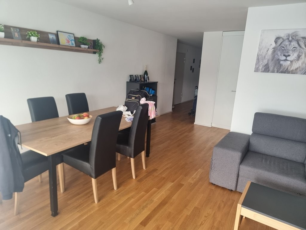 Appartamento di 4 ½ locali