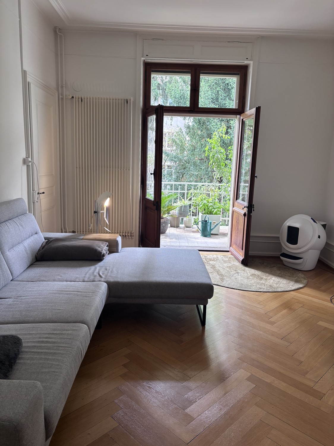 Room in a shared flat