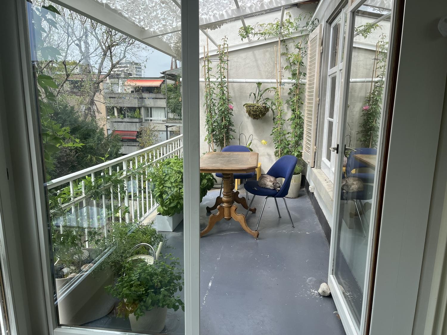 Room in a shared flat