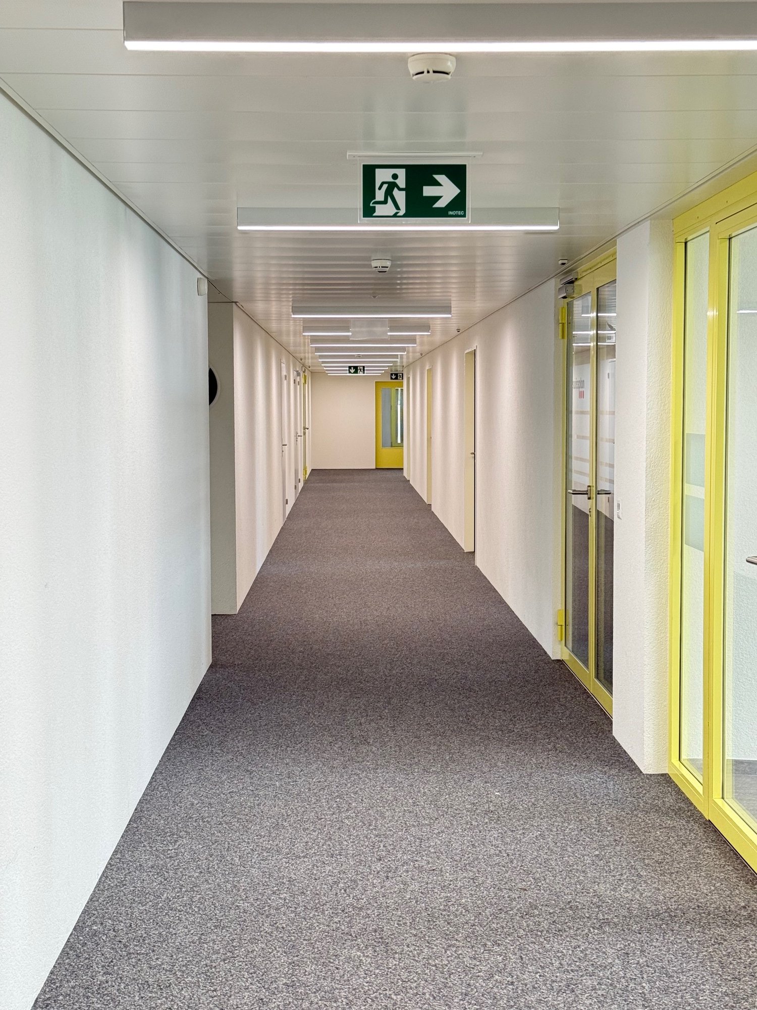 168m² office