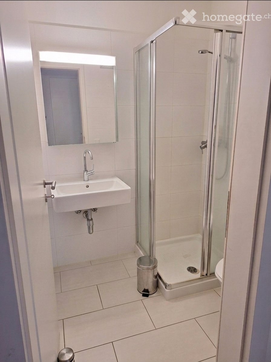 4 ½ Zimmer Wohnung