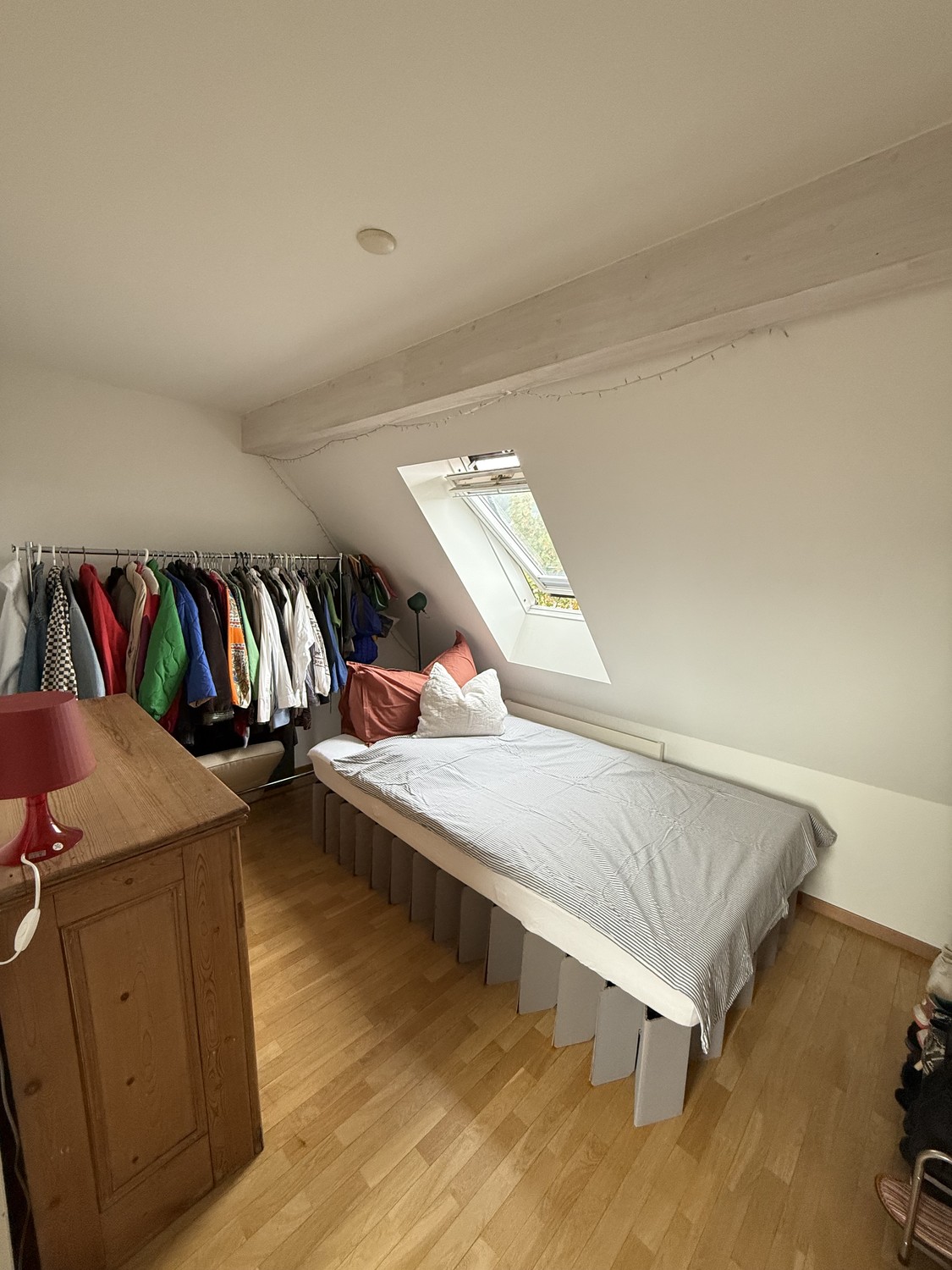 Room in a shared flat