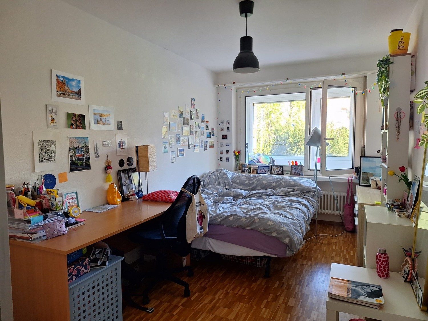 Room in a shared flat