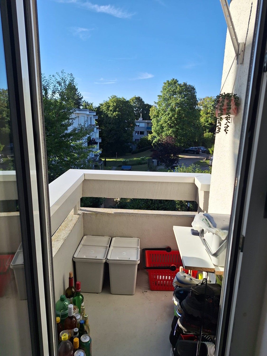 Room in a shared flat