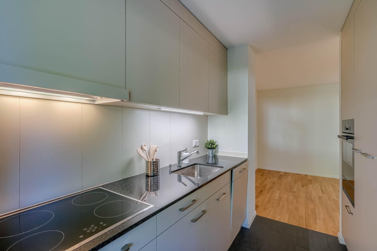 3 ½ rooms apartment