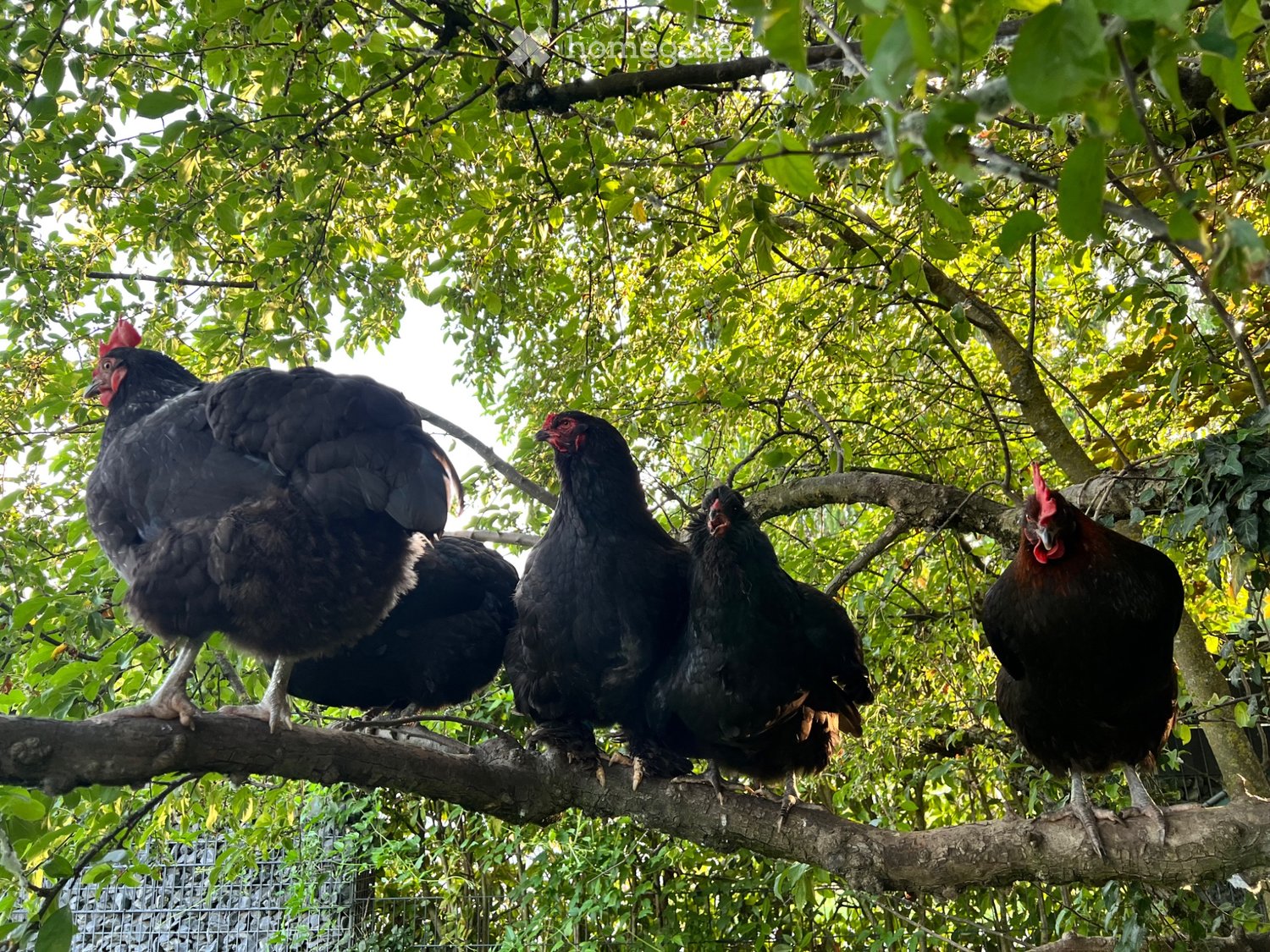 1 stanza camera singola