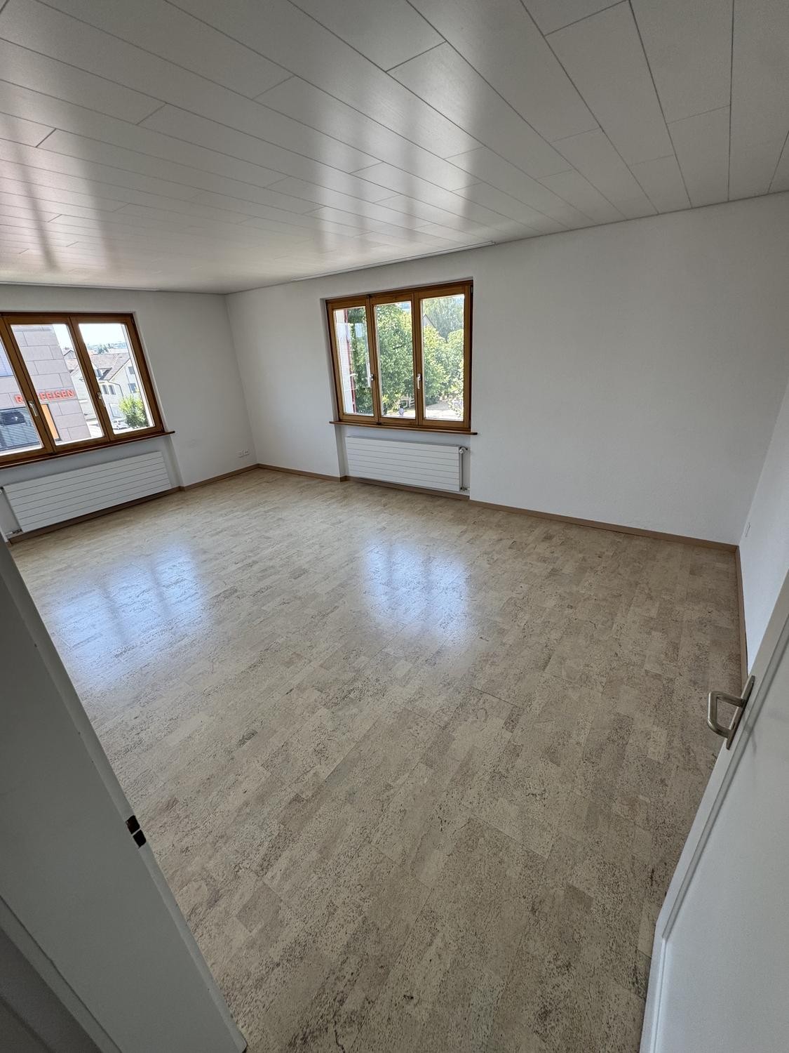 Appartamento di 4 ½ locali