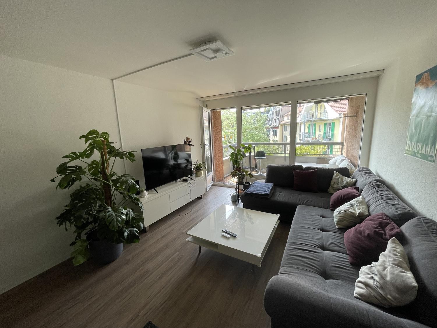 Room in a shared flat