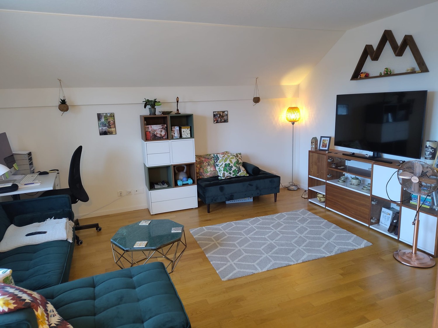 3 ½ Zimmer Wohnung