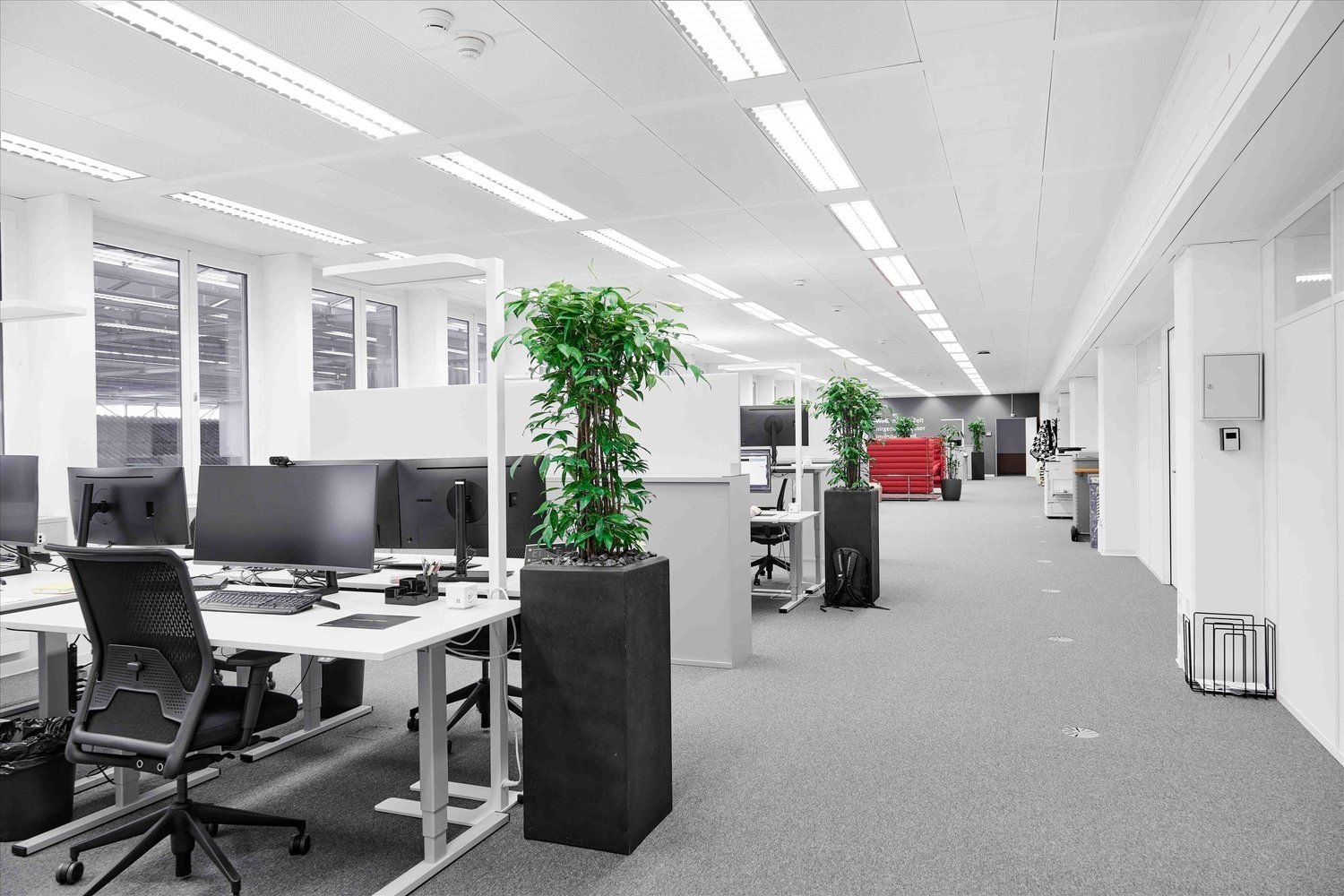 Bureau de 135m²