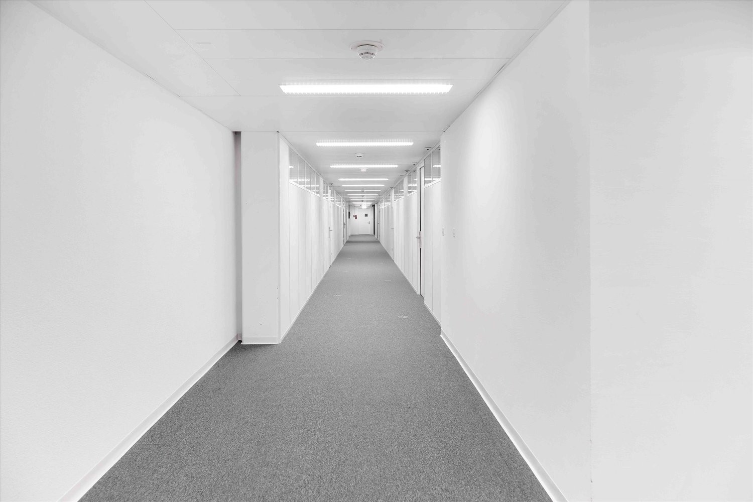 Bureau de 135m²