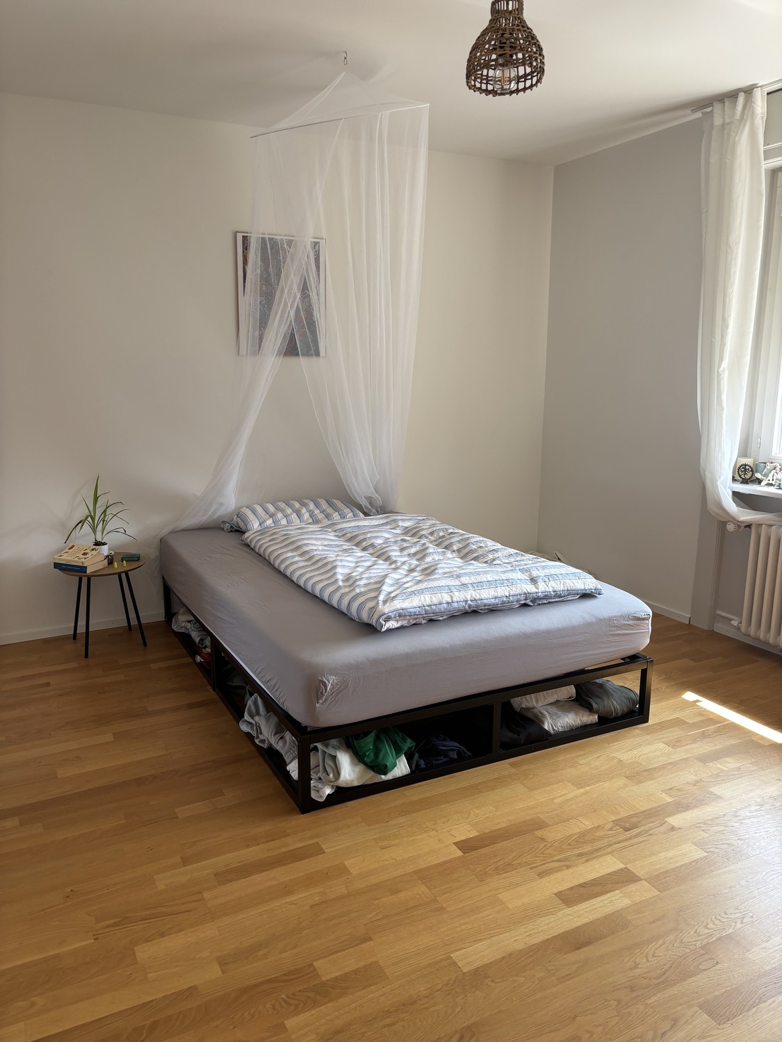 Room in a shared flat