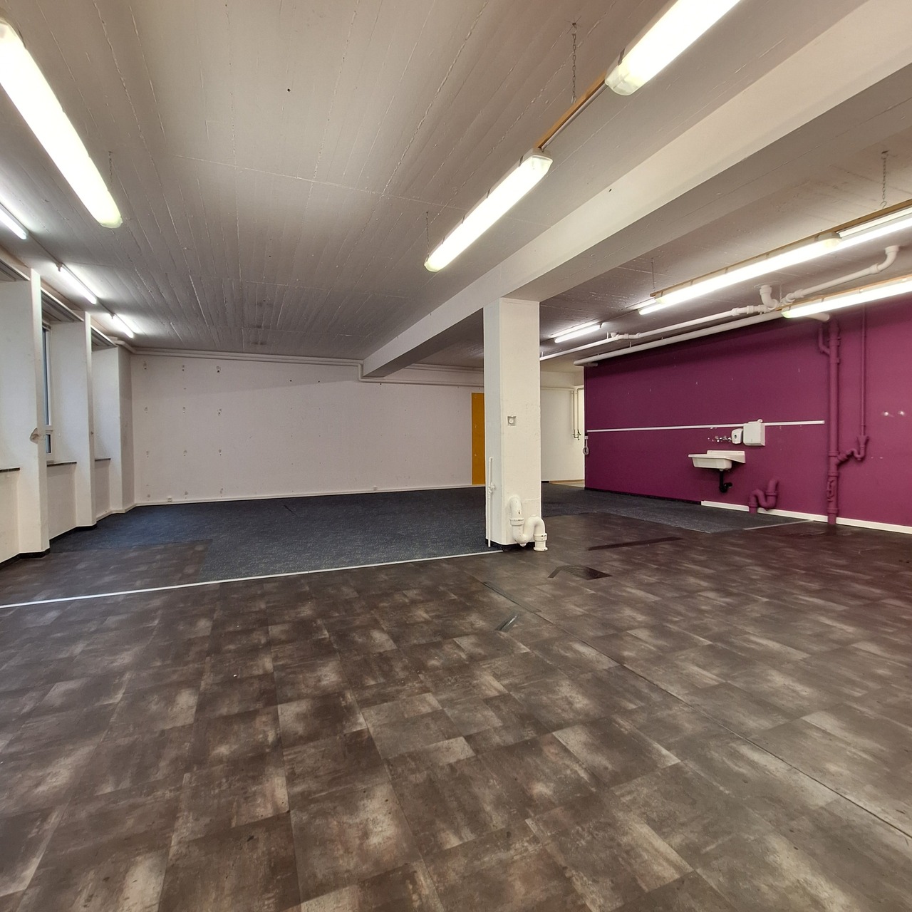 241m² commercial