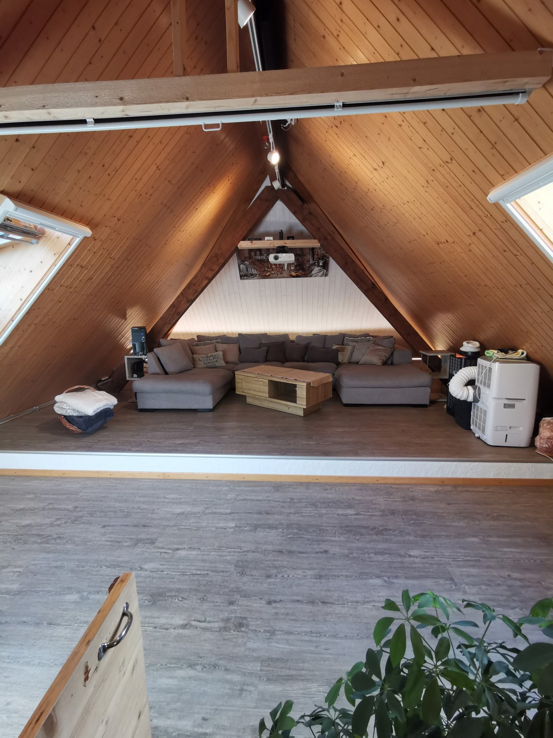 Room in a shared flat