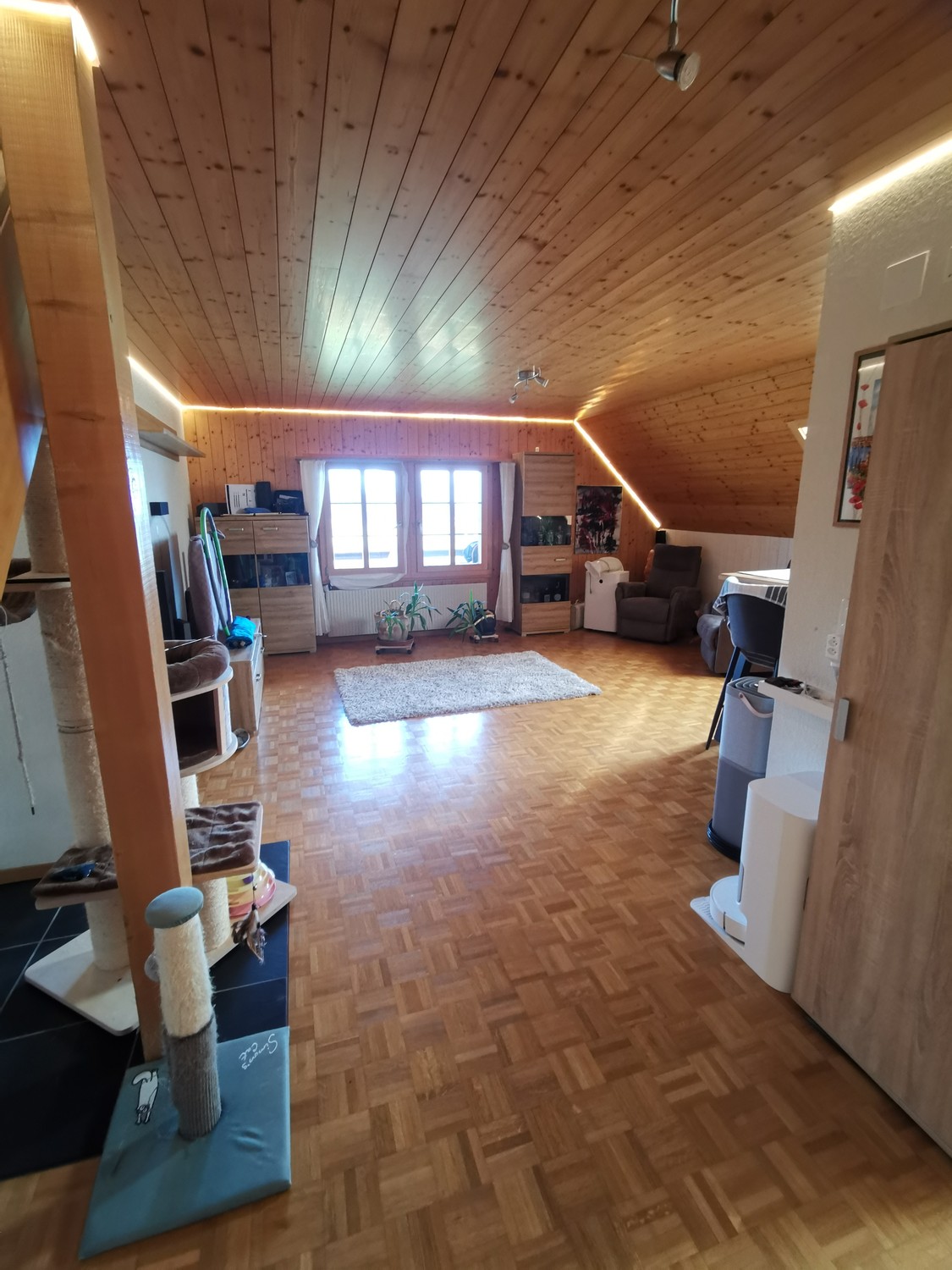 Room in a shared flat